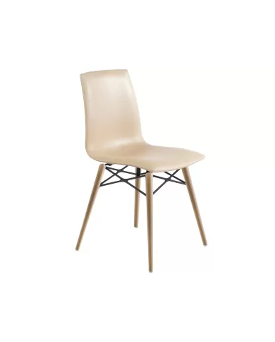 X-treme SD Wox Kayın