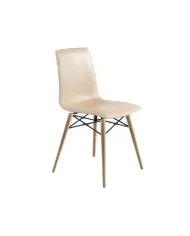 X-treme SD Wox Kayın