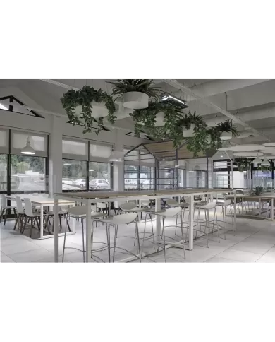 X-treme BSS Pro (h:74)