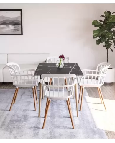 Eva-N Koltuk