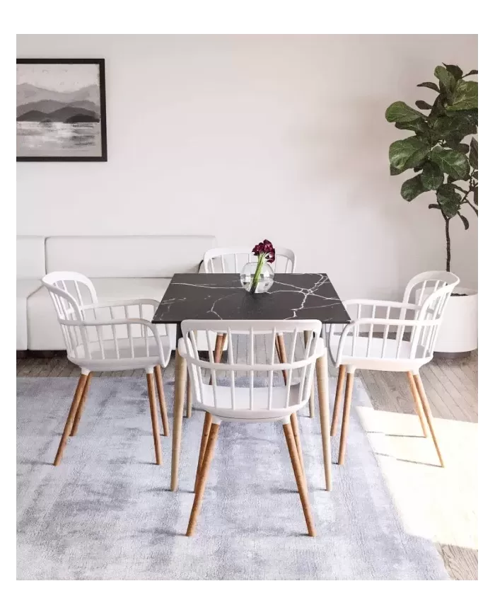 Eva-N Koltuk
