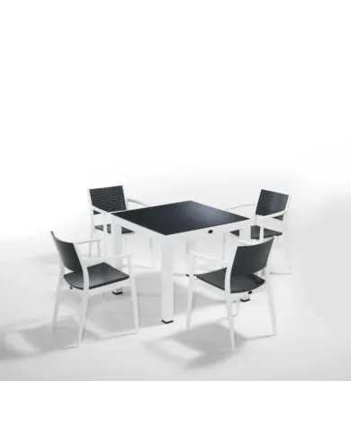 060 Seginus 4'lü Set