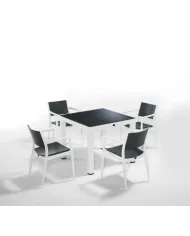 060 Seginus 4'lü Set