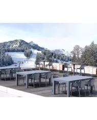 774 VEGAS MASA ORTA 100x180/220