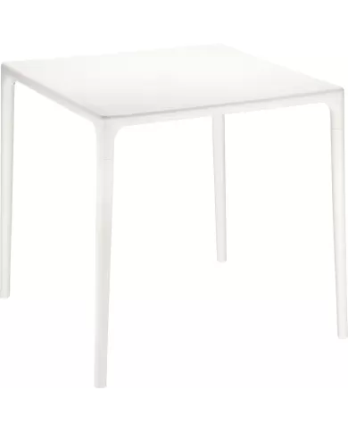 800 MANGO MASA 72x72