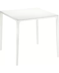 800 MANGO MASA 72x72