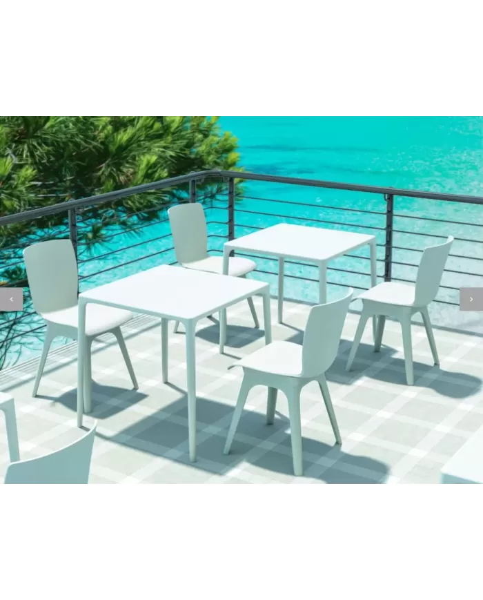 800 MANGO MASA 72x72