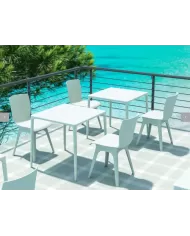 800 MANGO MASA 72x72