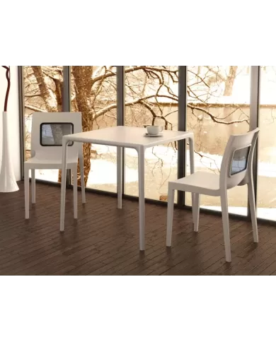 800 MANGO MASA 72x72