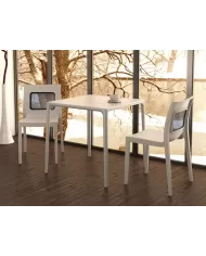 800 MANGO MASA 72x72