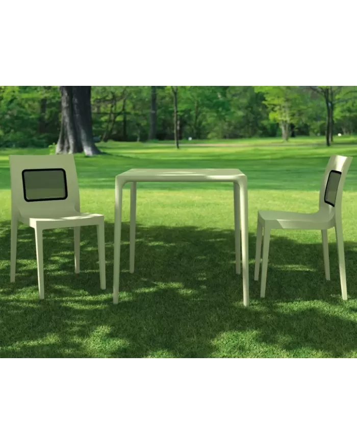 800 MANGO MASA 72x72