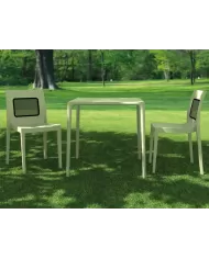 800 MANGO MASA 72x72