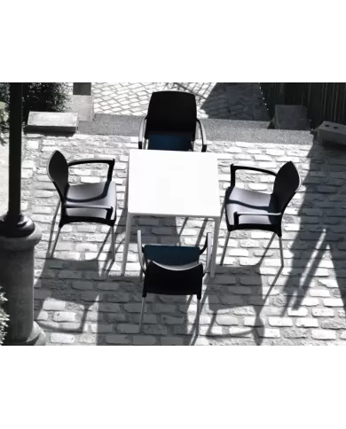 800 MANGO MASA 72x72