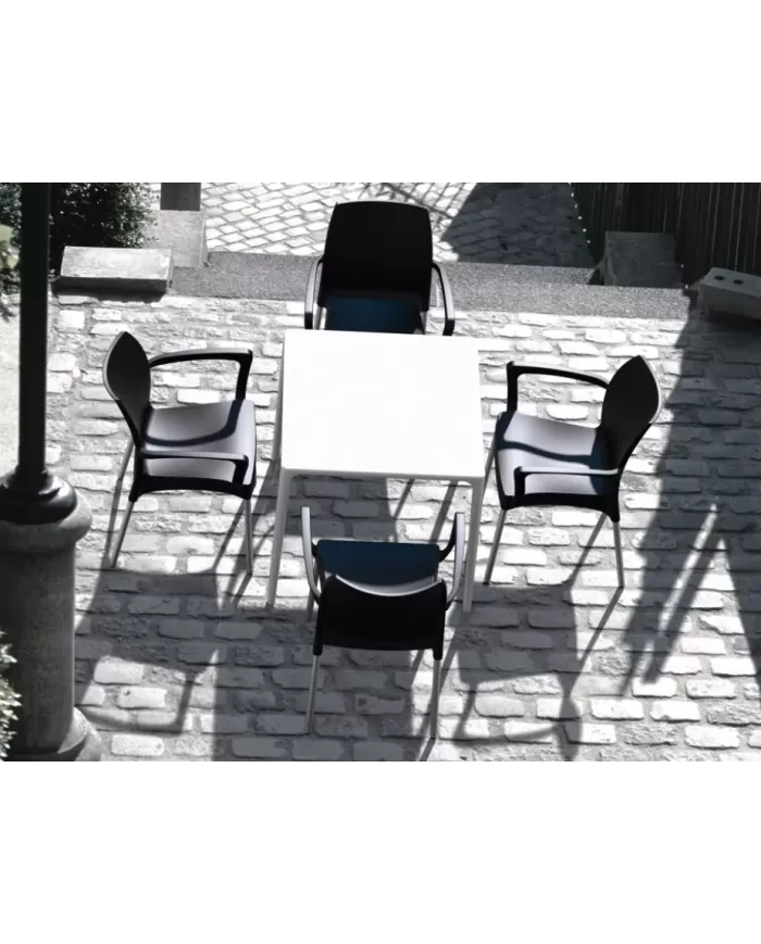 800 MANGO MASA 72x72