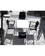 800 MANGO MASA 72x72