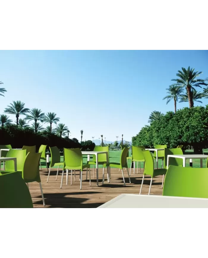 800 MANGO MASA 72x72