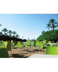 800 MANGO MASA 72x72