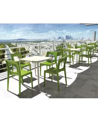 800 MANGO MASA 72x72