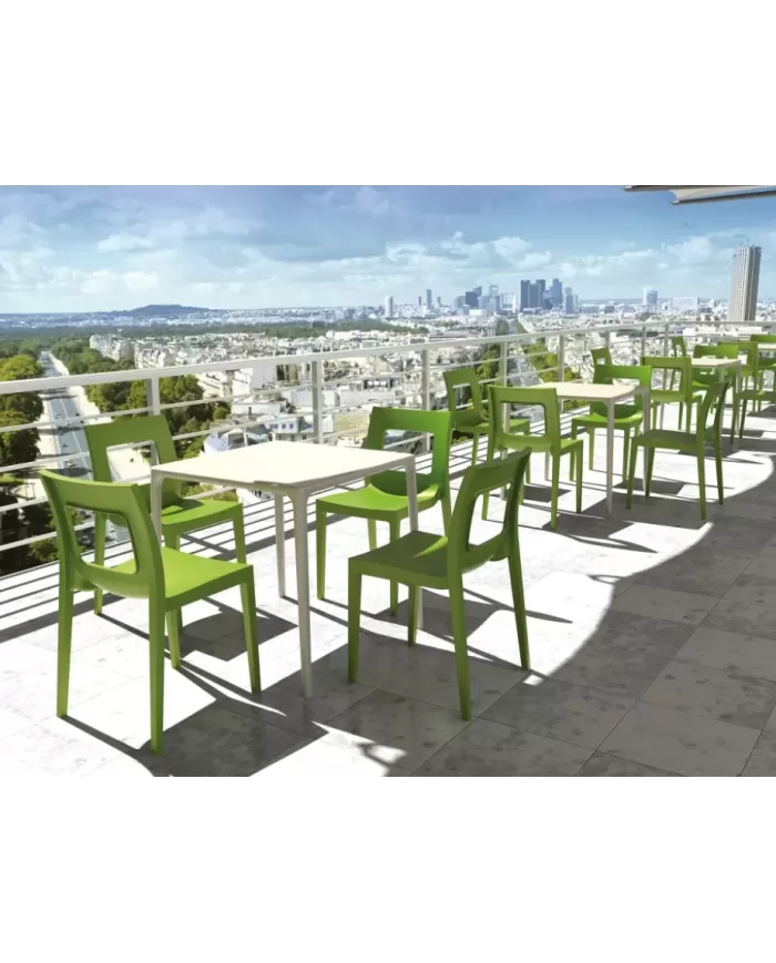 800 MANGO MASA 72x72