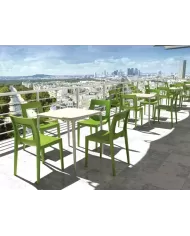 800 MANGO MASA 72x72