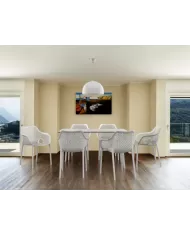 415 DODO TAVAN LAMBASI