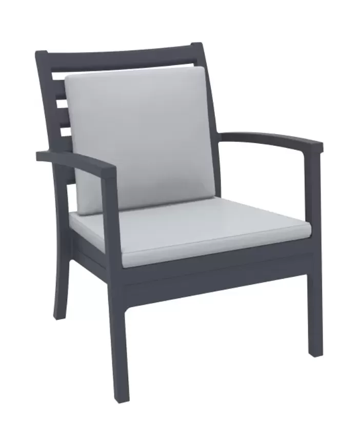 900 ARTEMIS XL SIRT MİNDERİ