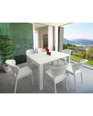 772 VEGAS (R) MASA 100x100-140