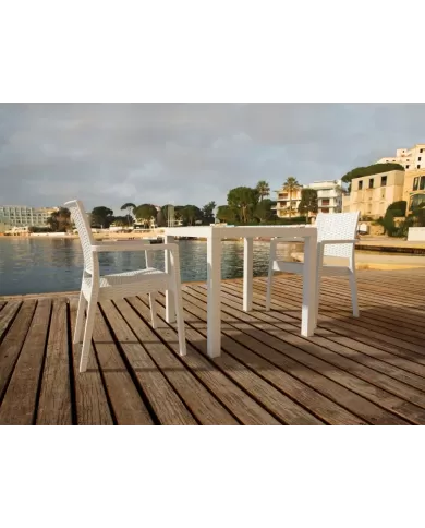 875 ORLANDO RATTAN MASA 80x80