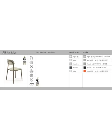 Ali Sandalye