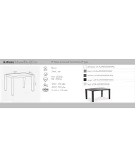 Antares Masa 80x120 cm Camlı