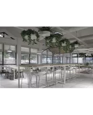 X-treme BSS Pro (h:74)