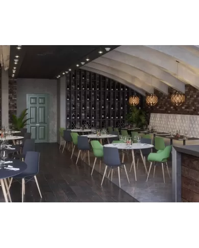 X-treme S Wox (kayın)