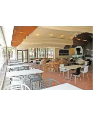 X-treme S Wox (kayın)