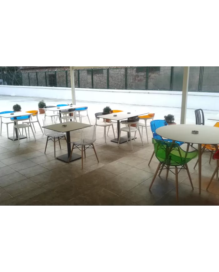 X-treme S Wox (kayın)