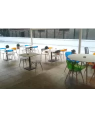 X-treme S Wox (kayın)