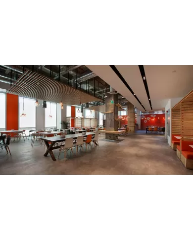 X-treme S Wox (kayın)