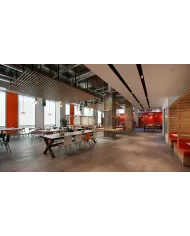 X-treme S Wox (kayın)