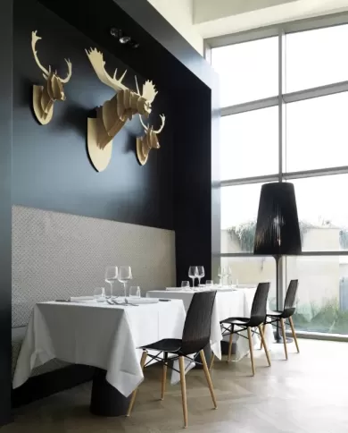 X-treme S Wox (kayın)