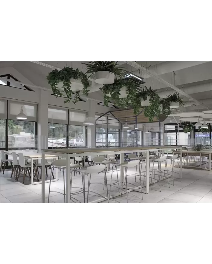 X-treme S Wox Pro (Iroko)