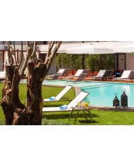 Zen Şezlong (Paslanmaz)