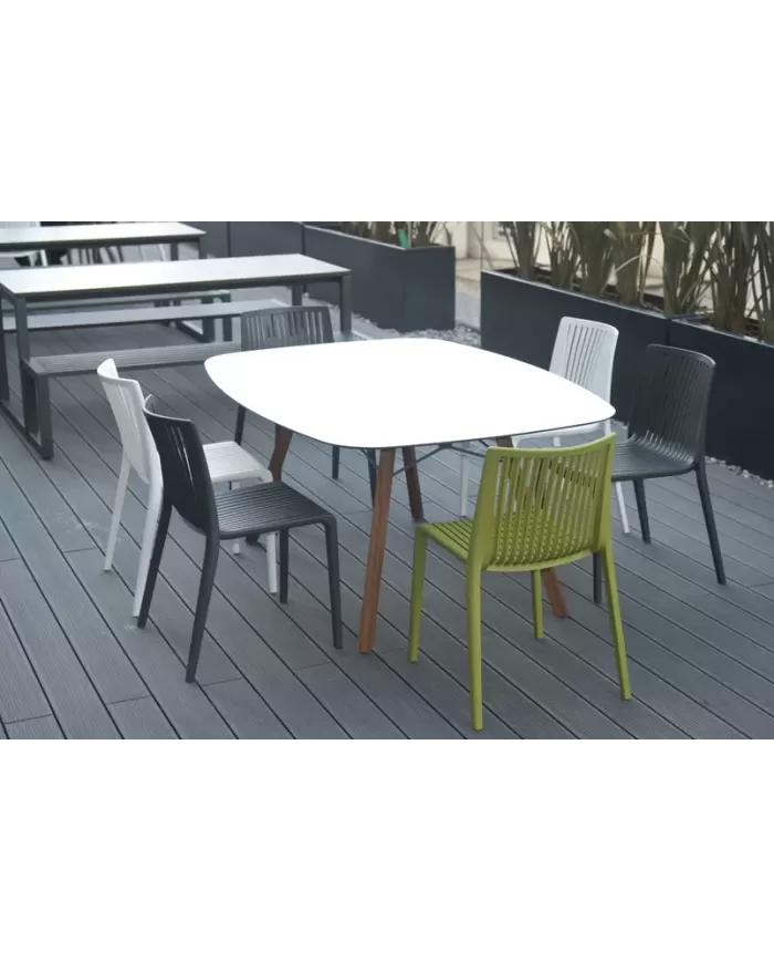 Wox Masa 159x119 (iroko)