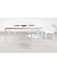 MAXIMA MASA (89x89, 179x89, 214x99)