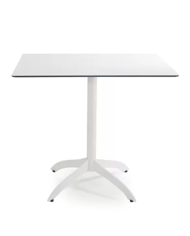 Arya 331 Masa (59/69)