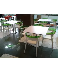 Punto (55) Masa (69/79/89)