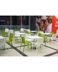 Punto (55) Masa (69/79/89)