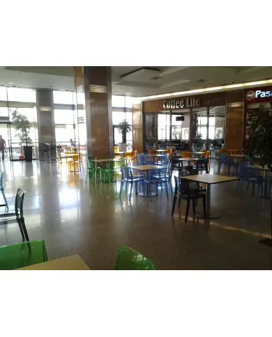 Punto (55) Masa (69/79/89)