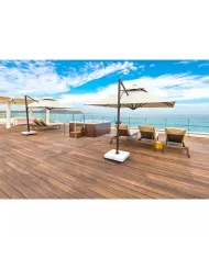 324 ALBATROS - 400x400