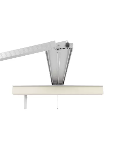 326 COSMOS MEDIUM 300x360