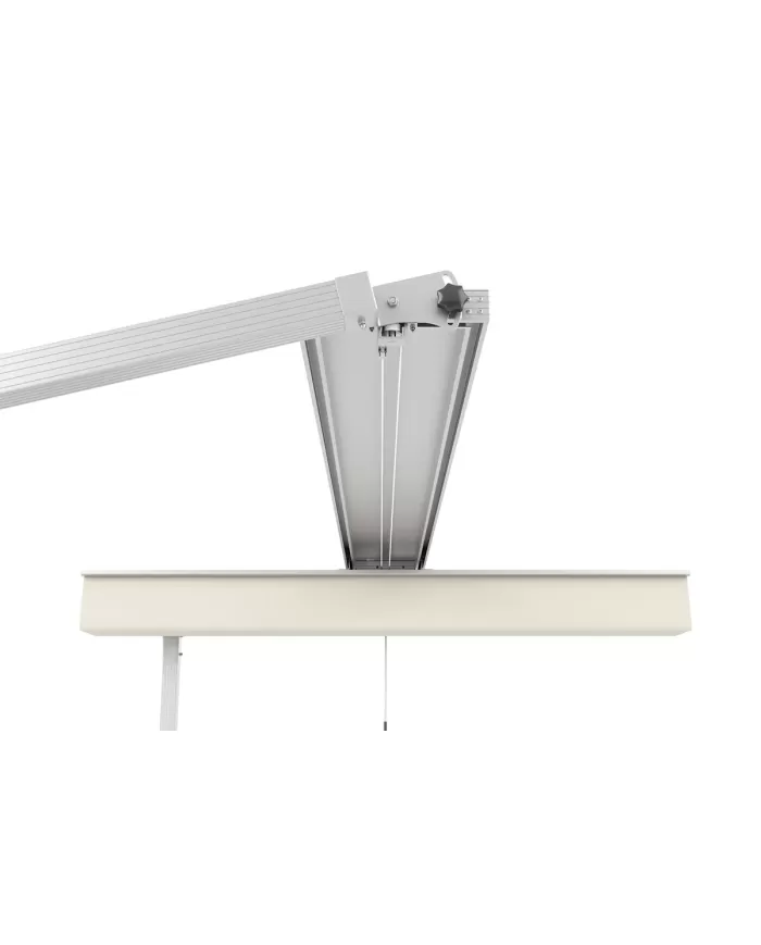 326 COSMOS MEDIUM 300x360