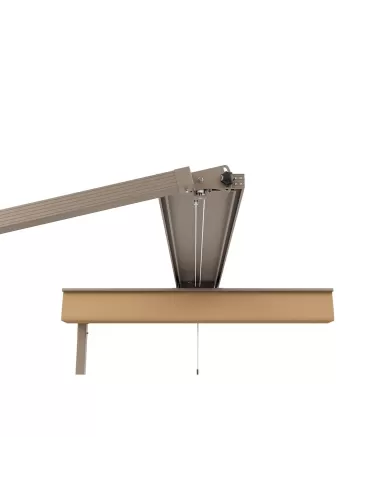 327 COSMOS SMALL 250x300